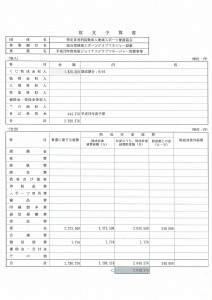 20171125_平成28年度toto実績報告書類(2)