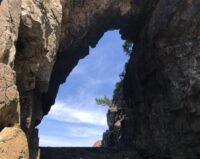 【イベント報告】夏イベント「東浜海岸魅力発見隊」Vol.2