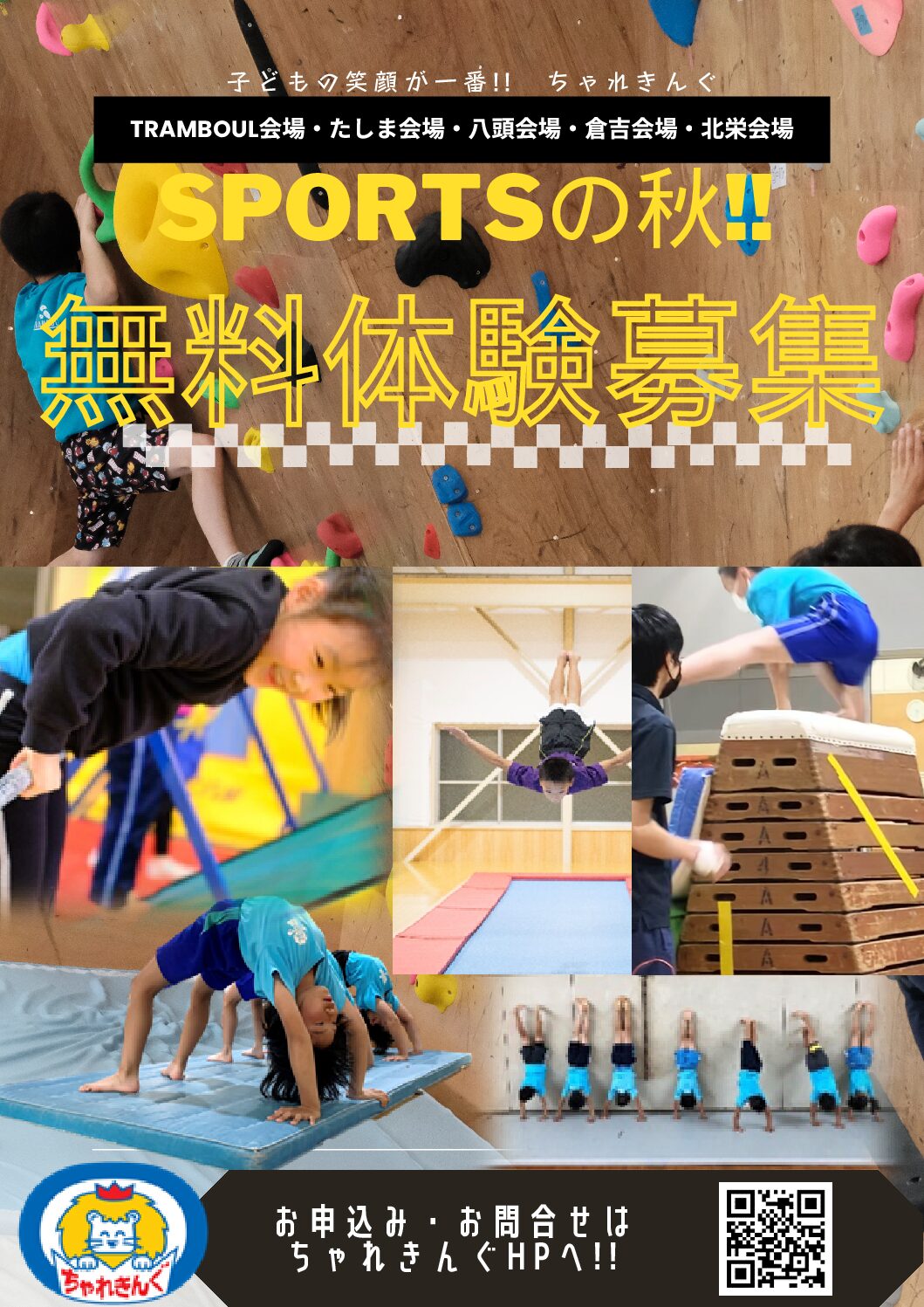 SPORTSの秋‼　レッスン生、大募集‼